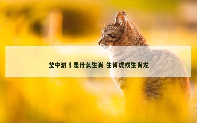 釜中游魚是什么生肖 生肖虎或生肖龙