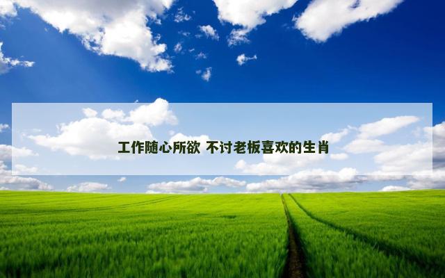 工作随心所欲 不讨老板喜欢的生肖