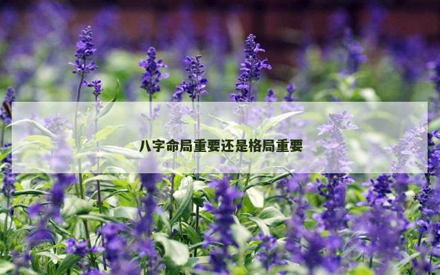 八字命局重要还是格局重要