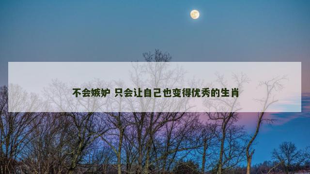 不会嫉妒 只会让自己也变得优秀的生肖