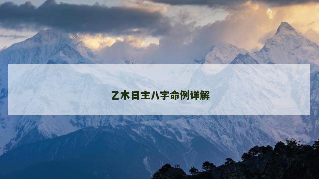 乙木日主八字命例详解