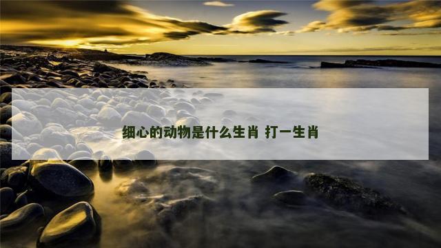 细心的动物是什么生肖 打一生肖