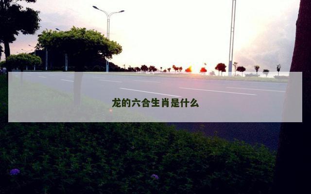 龙的六合生肖是什么