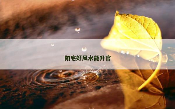 阳宅好风水能升官