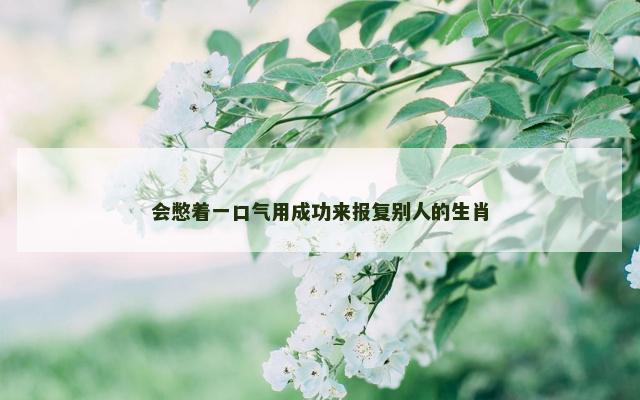 会憋着一口气用成功来报复别人的生肖