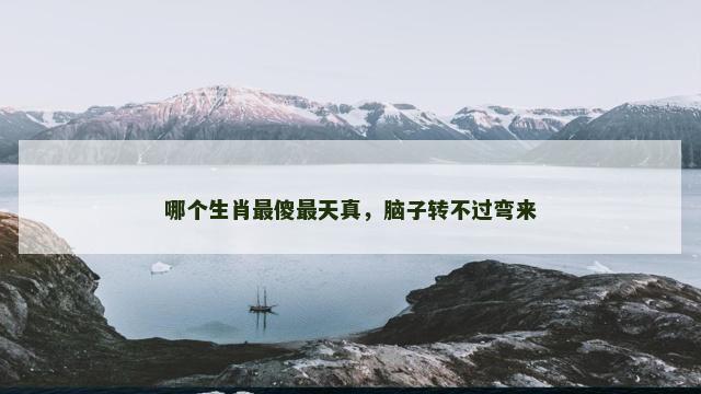 哪个生肖最傻最天真，脑子转不过弯来
