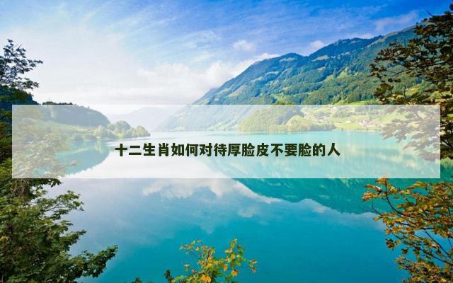 十二生肖如何对待厚脸皮不要脸的人