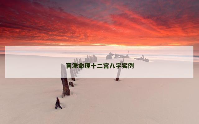 盲派命理十二宫八字实例