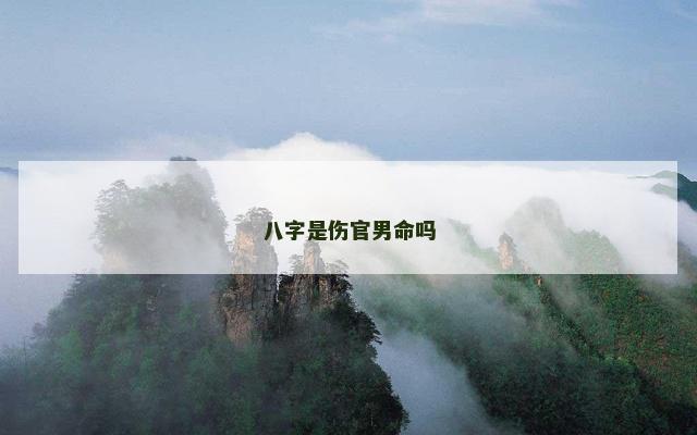 八字是伤官男命吗