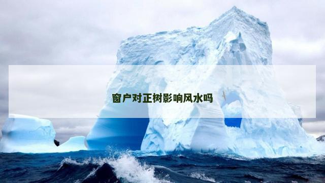 窗户对正树影响风水吗