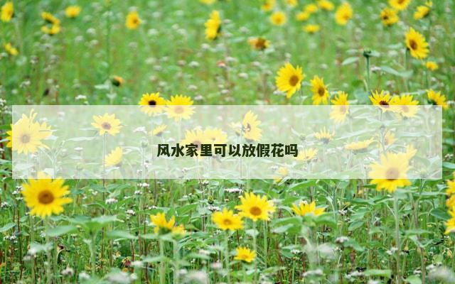 风水家里可以放假花吗