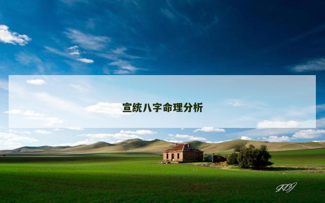 宣统八字命理分析