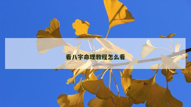 看八字命理教程怎么看