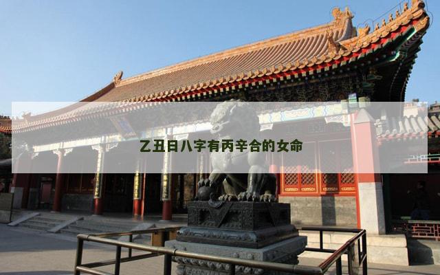 乙丑日八字有丙辛合的女命