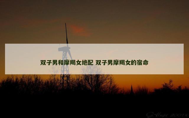 双子男和摩羯女绝配 双子男摩羯女的宿命