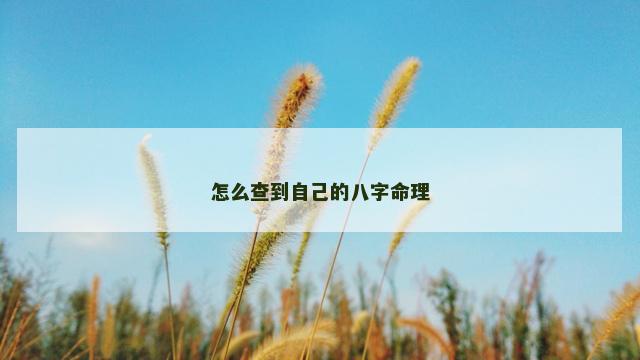 怎么查到自己的八字命理