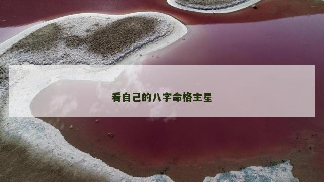 看自己的八字命格主星