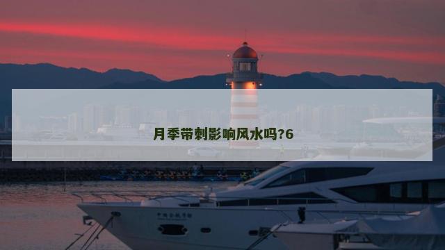 月季带刺影响风水吗?6