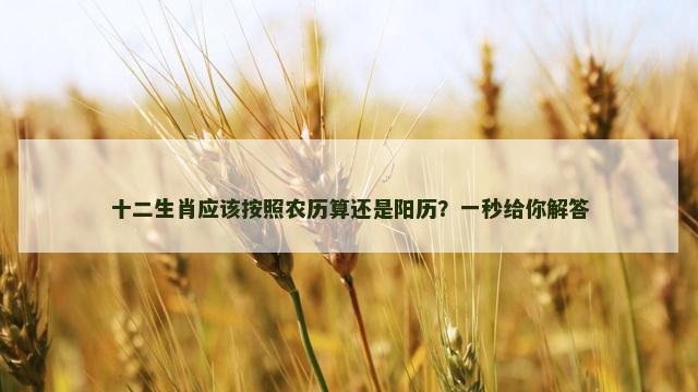 十二生肖应该按照农历算还是阳历？一秒给你解答