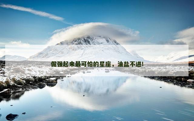 倔强起来最可怕的星座，油盐不进!