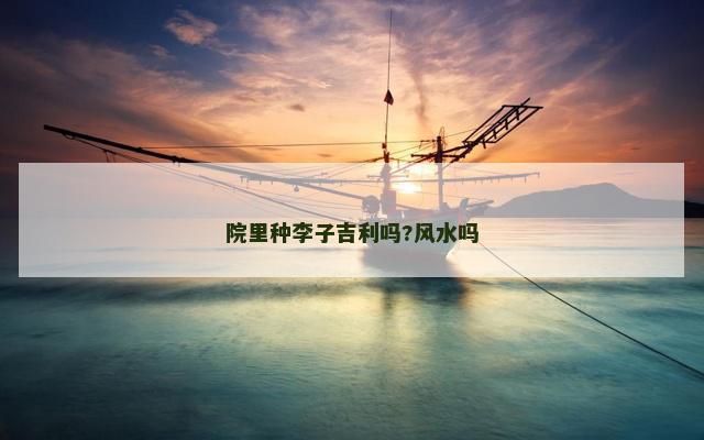 院里种李子吉利吗?风水吗