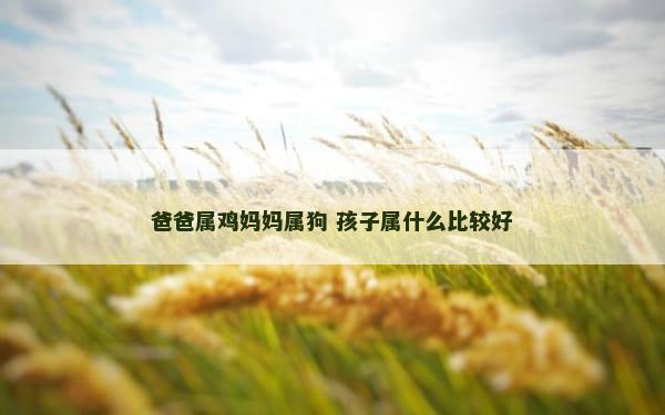 爸爸属鸡妈妈属狗 孩子属什么比较好