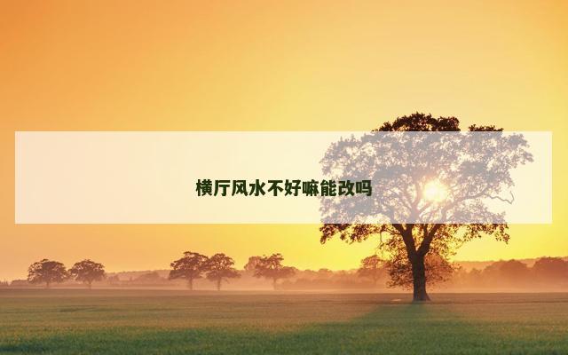 横厅风水不好嘛能改吗