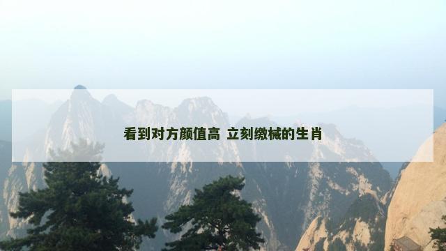 看到对方颜值高 立刻缴械的生肖