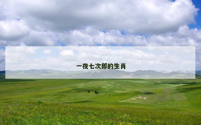 一夜七次郎的生肖
