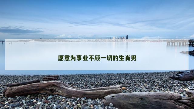愿意为事业不顾一切的生肖男