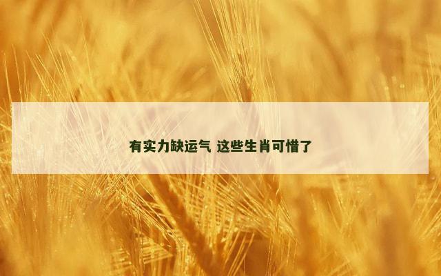 有实力缺运气 这些生肖可惜了