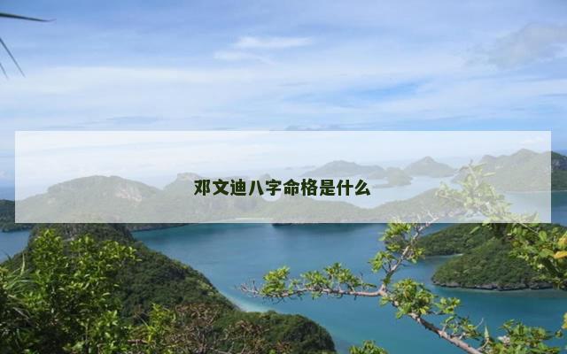邓文迪八字命格是什么