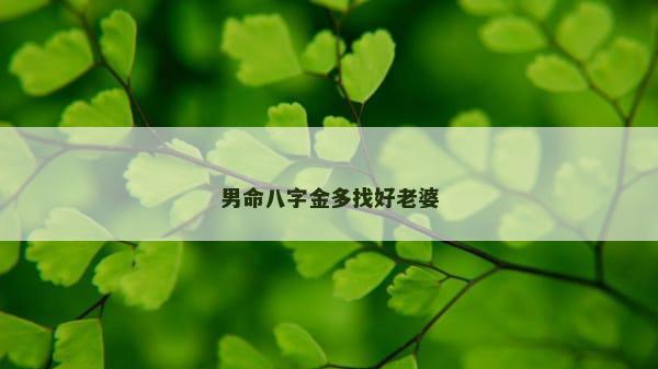 男命八字金多找好老婆