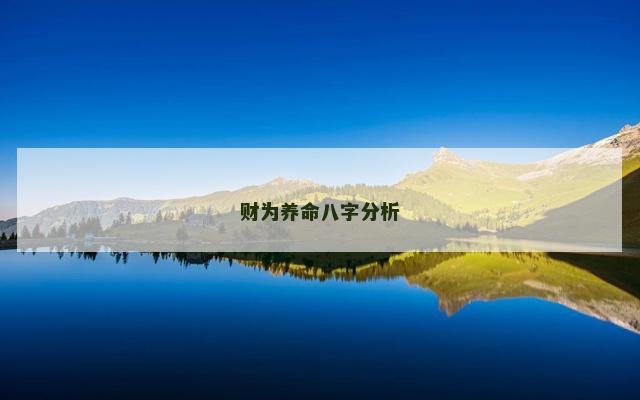 财为养命八字分析