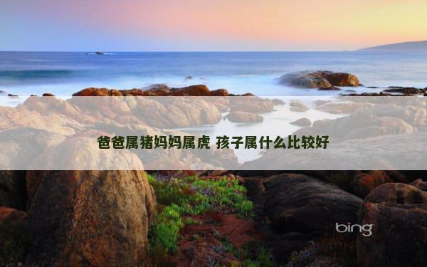 爸爸属猪妈妈属虎 孩子属什么比较好