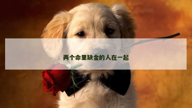 两个命里缺金的人在一起