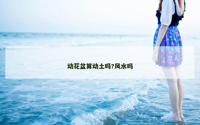 动花盆算动土吗?风水吗