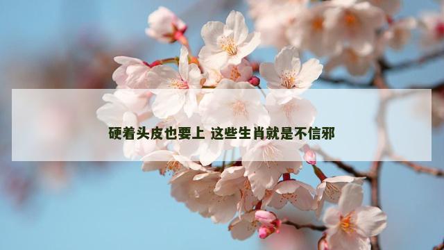 硬着头皮也要上 这些生肖就是不信邪
