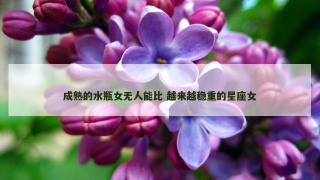 成熟的水瓶女无人能比 越来越稳重的星座女