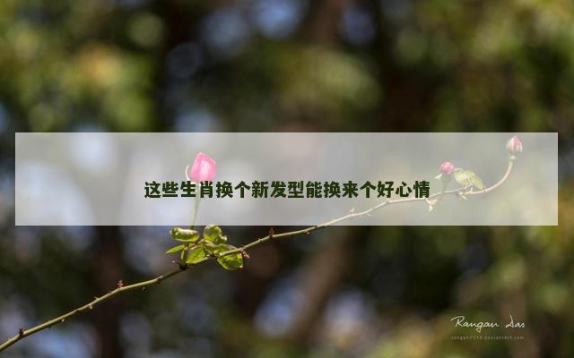 这些生肖换个新发型能换来个好心情