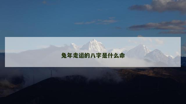 兔年走运的八字是什么命