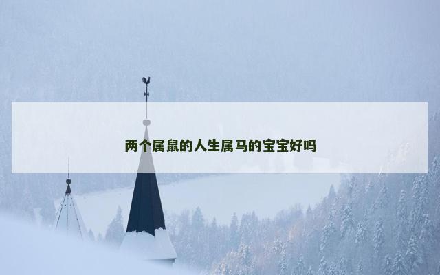 两个属鼠的人生属马的宝宝好吗