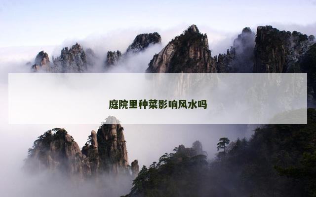 庭院里种菜影响风水吗