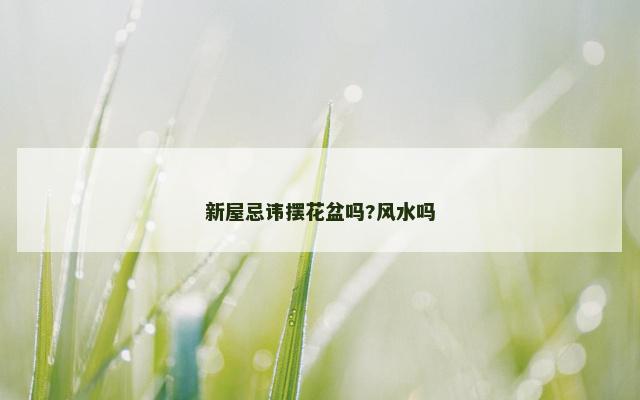 新屋忌讳摆花盆吗?风水吗