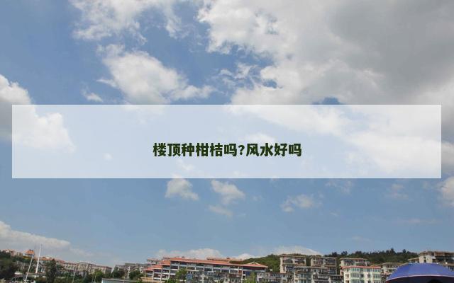 楼顶种柑桔吗?风水好吗