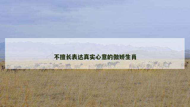 不擅长表达真实心意的傲娇生肖