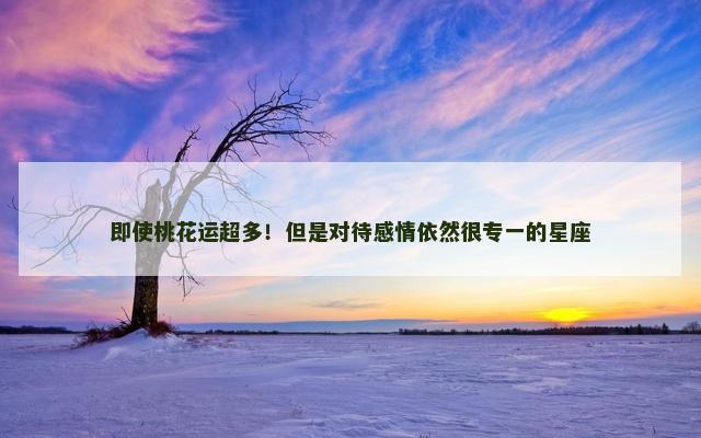 即使桃花运超多！但是对待感情依然很专一的星座