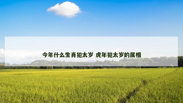 今年什么生肖犯太岁 虎年犯太岁的属相