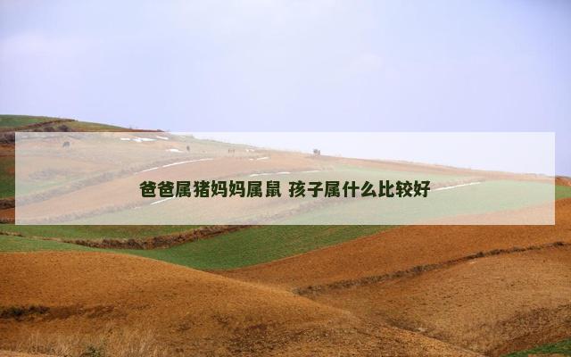 爸爸属猪妈妈属鼠 孩子属什么比较好