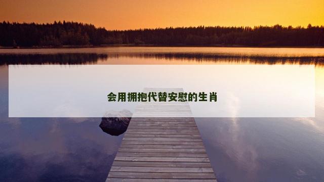 会用拥抱代替安慰的生肖